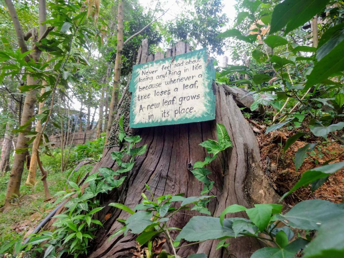 Camp Talusi Hilltop Overlooking El Nido Exterior foto